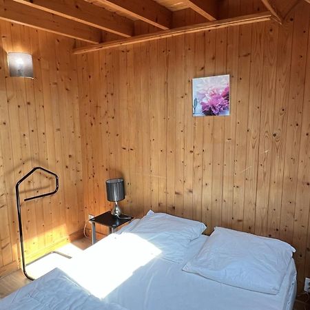 Chalet 4 Pieces A Cabourg Avec Jardin, Proche Piscine Et Tennis, Ideal Pour Familles, 6 Pers. Max - Fr-1-487-325 Exterior photo